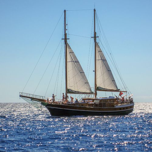 Madeira Ausflüge